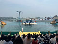 -秦皇岛乐岛海洋王国