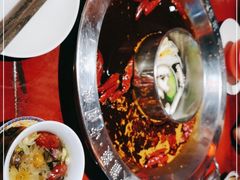 -大龙燚·旷野鲜火锅(广州首店)