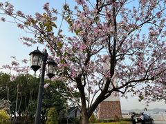 -南沙天后宫景区