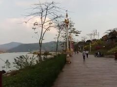 -西双版纳原始森林公园