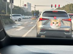 -鲨鱼皮汽车凹陷玻璃修复(静安店)