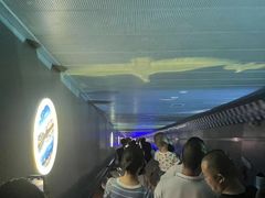-白鹤梁水下博物馆