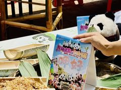 -灵玲国际马戏城