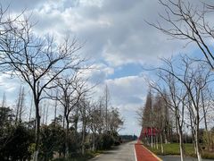 -上海长兴岛郊野公园