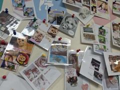 -半岛宠物医院24小时(白果林店)