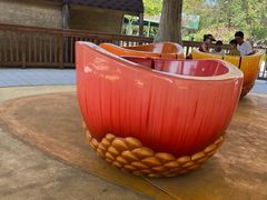 -南戴河国际娱乐中心