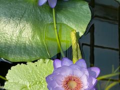 -国家植物园南园
