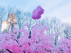 -金茂览秀城
