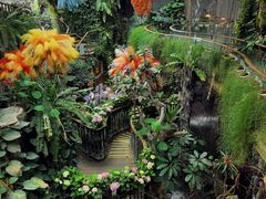 -正佳雨林生态植物园