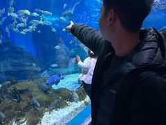 -海合安武汉极地海洋公园