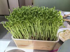 -海底捞火锅(南开鲁能城店)