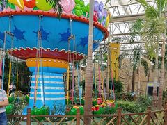 -南宫五洲植物乐园