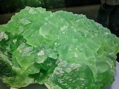 -湖南省地质博物馆