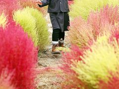 -天津东丽湖风景区