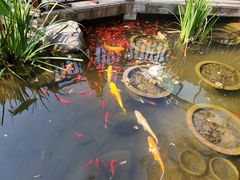 -聚缘堂·海鲜私房菜(松岭路店)