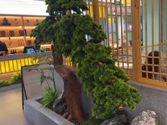 -葛记红焖羊肉(人民路店)