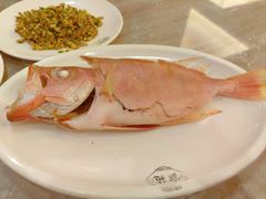 特色鱼饭-吴记富苑(朝阳店)