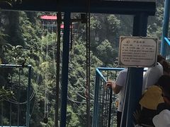 -梦幻奥陶纪景区