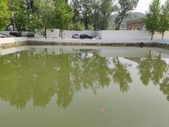 -向外鱼乐·土菜·虹鳟鱼