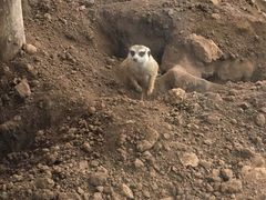 -西安秦岭野生动物园