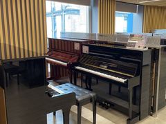 -雅马哈乐器专卖店(广州旗舰店)
