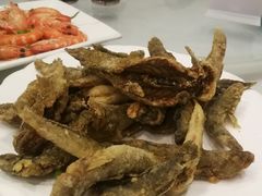 -金海湾海鲜排档(朱家尖店)