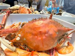 -半岛听涛蒸汽海鲜自助(K11店)