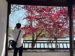 -八大山人梅湖景区