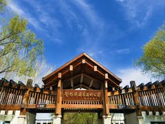 -野鸭湖国家湿地公园