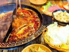 -阳阳老火锅(小南门店)