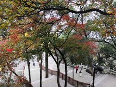 -灵岩山风景区