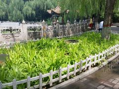 -晋祠公园