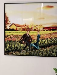 -维纳斯婚纱摄影(友好北路店)