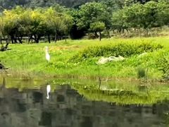 -大理洱源西湖景区