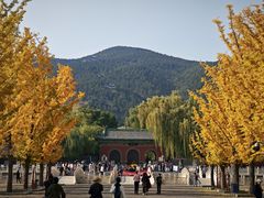 -晋祠公园