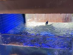 -王捌小院(红花坡店)