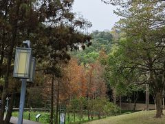-顺峰山公园