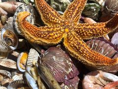 -永红源啤酒·烧烤·海鲜·大排档(青特城店)