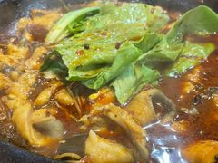 麻辣石锅鱼-都江堰石锅鱼