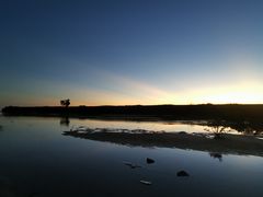 -红树林天天赶海