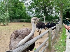 -大连森林动物园