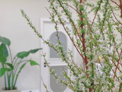 -煜婷产后恢复中心(印象生活广场店)