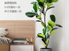 -李村大集