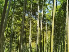 -众神白水涧景区