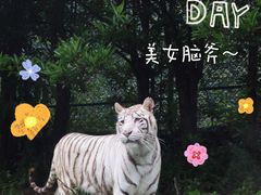 -乐和乐都主题乐园