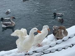 -水磨沟公园