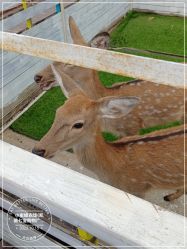 -小蜜蜂农场(凯德七宝购物广场店)