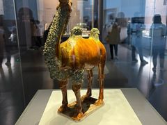 -贵州省博物馆(新馆)