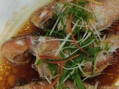 -隆都四季香饭店(碧海路店)