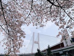 -南浦大桥长途旅游客运站